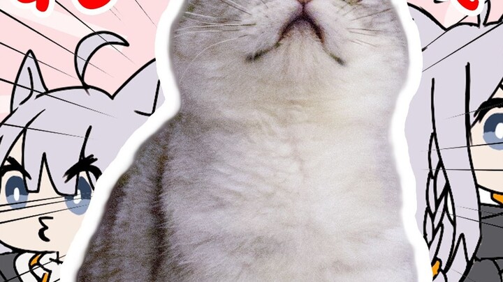 WSND Bạn ổn chứ? Sói Sói muốn làm cha! ~~