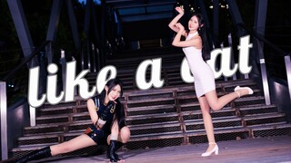 【紫苏】猫步轻俏│韩舞初尝试！黑猫白猫，捉住老鼠就是好猫！