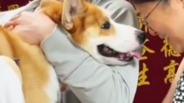 30g of dog food every day