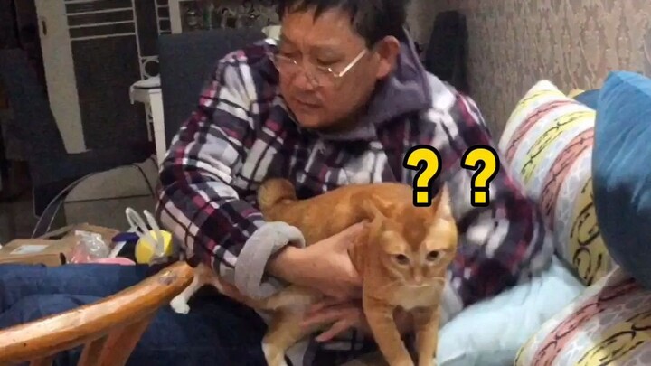 【Đôn Đôn】Giây trước còn giả vờ ôm không nổi, giây sau đã cười ha ha...