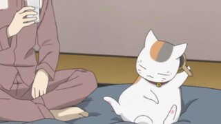 Help! The cat teacher is getting more and more cat-like, and he even combs his own hair!!!