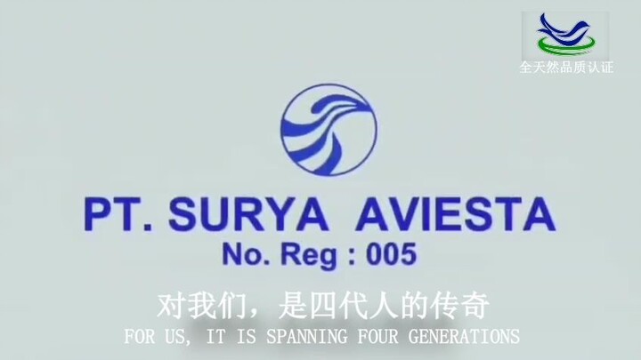 PT. SURYA AVIESTA 燕窝｜全天然燕窝品质首选｜传统工艺加工