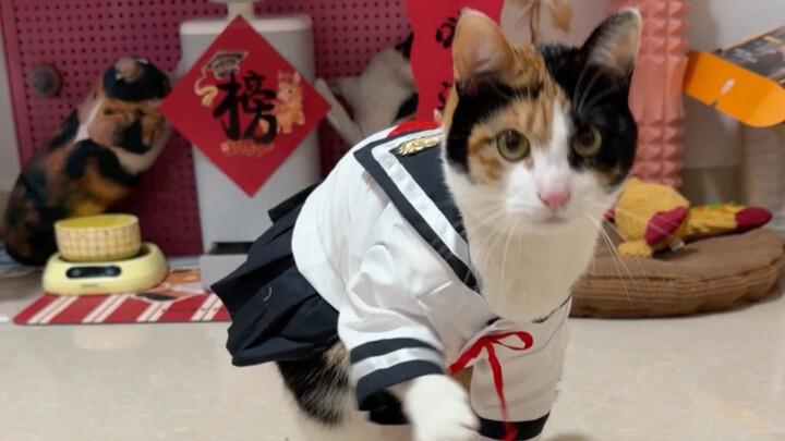 Follow the tune, not the decree.