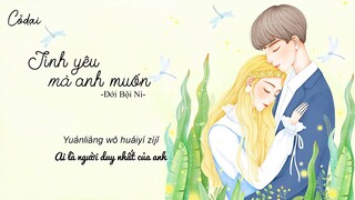 [Vietsub + Pinyin] Tình Yêu Mà Anh Muốn- Đới Bội Ni / OST Vườn Sao Băng Đài Loan 你要的爱 / Ký ức 8X, 9X