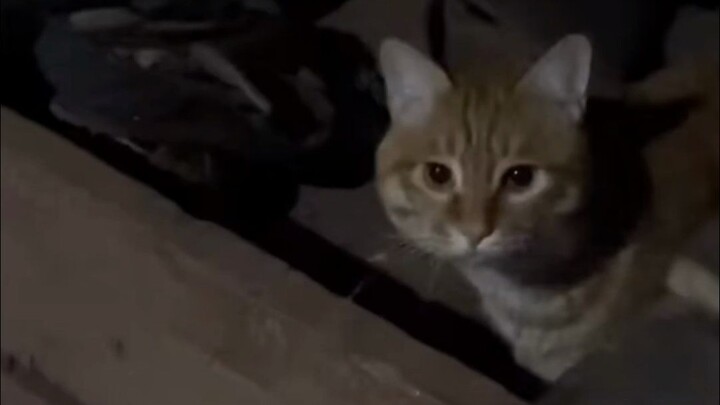 "Ketika kamu baru pulang tengah malam setelah main, ibumu pasti sangat tidak senang dan berkata:"