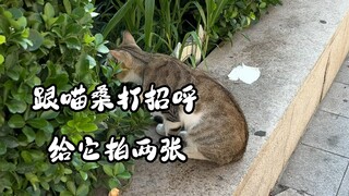 如何跟喵桑打招呼