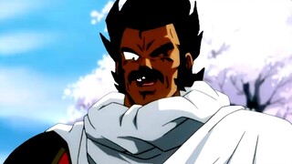 【Broly MAD】Nếu Paragus thích thưởng thức hoa【thịt nấu chín】