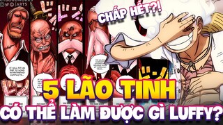 NGŨ LÃO TINH CÓ THỂ LÀM ĐƯỢC GÌ LUFFY?! | ONE PIECE 1109+