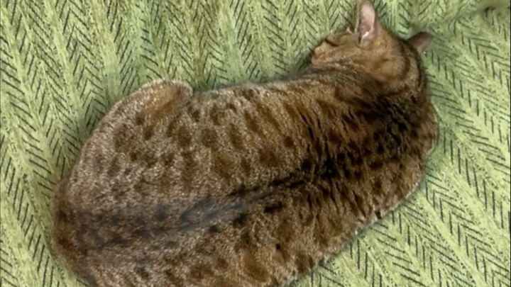 Akhirnya tahu juga kenapa ibu saya tidak suka sama saya