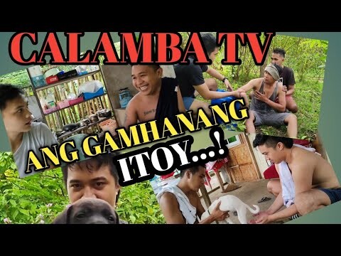 ANG GAMHANANG ITOY // CALAMBA TV