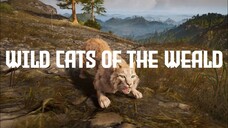 BOSS FIGHT | Assassin's Creed Valhalla: Eivor VS The Wild Cats of the Weald