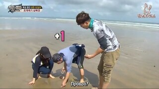 Law of the Jungle in Wild New Zealand [9 END] ENG SUB