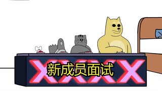 禽兽朋友们新成员面试