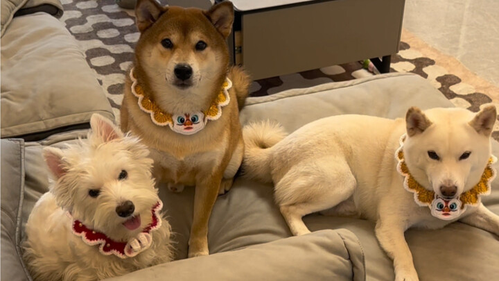 ลูกชายตัวโตของแม่ (ถ่ายรูปครอบครัว)