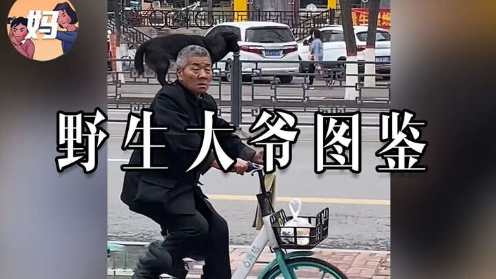 【คู่มือมนุษย์ป่า】แค่ภารกิจของลุงแก่น่ะ!