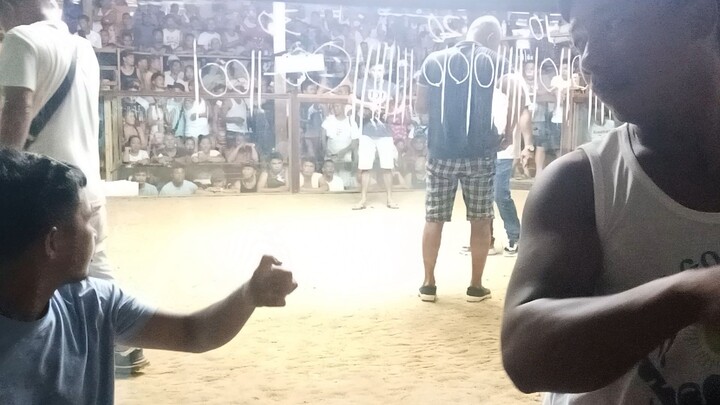 @4cockderby @JJVgamefarm 2nd fyt win