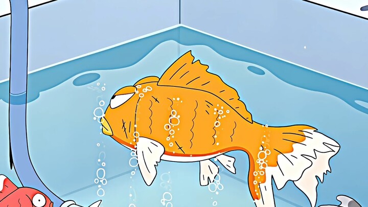 "شياو شين: في ما يخص الحظ، لا أُخْلِفُ أحدًا."