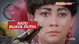 ANTV HD • SINEMA AKSI RATU BUAYA PUTIH • [ 09-12-2025 ]
