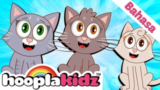 Three Little Kittens | Tigu Anak Kucing Kecil | Lagu Anak Anak & Lainnya | HooplaKidz Bahasa