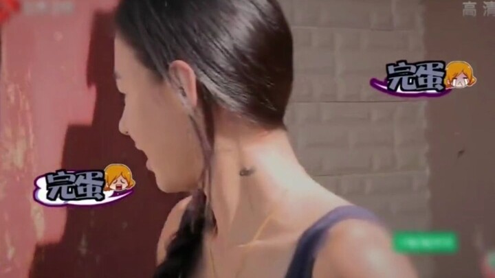 张柏芝，女明星整顿农村第一人