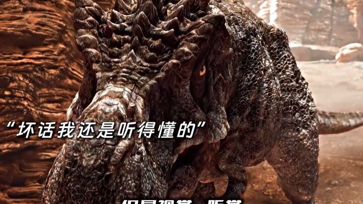 I haven’t just seen a dragon; I’ve even fed one!