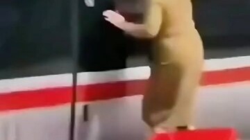 Lão tiên nữ giáng trần