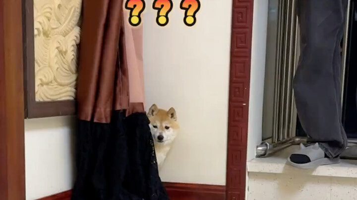 ชาวเน็ตที่น่ารังเกียจนี่ช่างน่ารังเกียจจริงๆ!