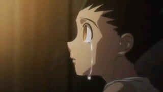 Gon transformation (Gon vs Pitou )