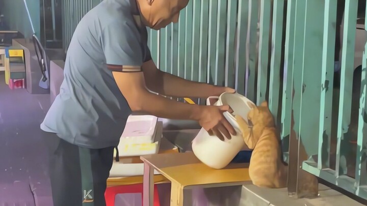 Look, this world is so gentle!