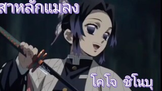 ชิโนบุ(しのぶ)