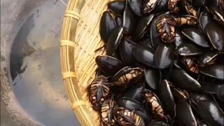 Benda ini begitu gemar memakan daging busuk, kok harganya masih begitu mahal?