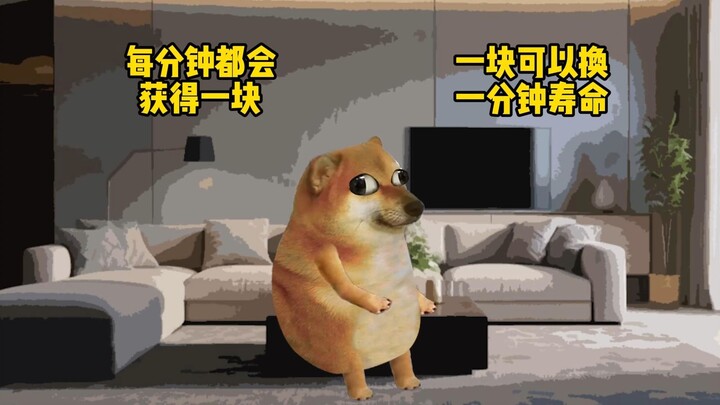 如果让你选，你会选哪个？