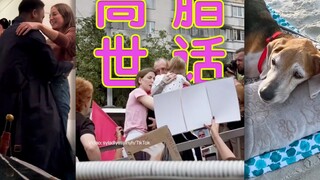 高脂世话💖：人生若寄，顾我何忧