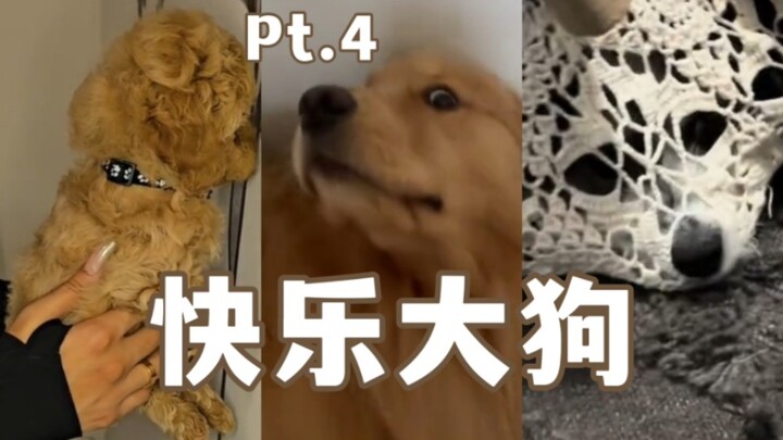 Happy Big Dog Compilation Pt.4