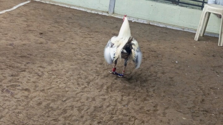 banaba CERCA indang cavite