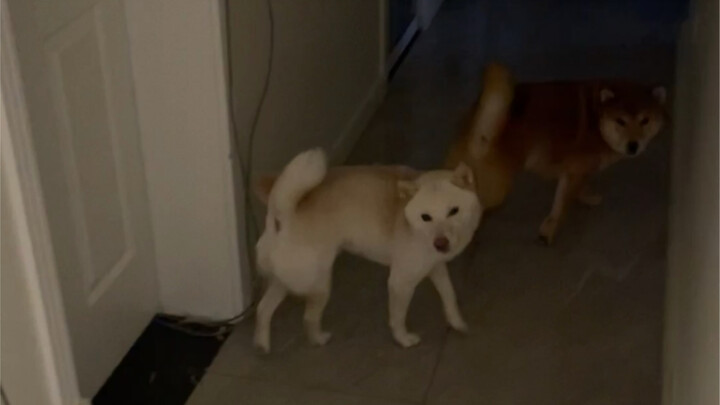 Anak Lelaki Kesayangan Mama (Lihat aja, lihat aja!)