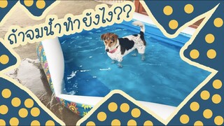 โลกของแสนดี ตอน ลงน้ำเองนักเลงพอ