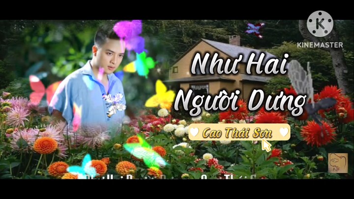 Như Hai Người Dưng