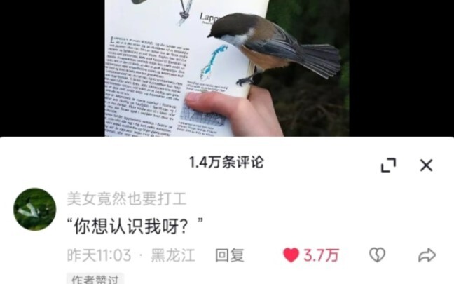 Aku melepaskan diri dari buku, memandang diriku yang dulu