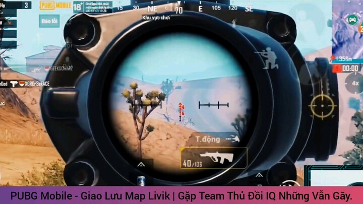 giao lưu với team IQ cao