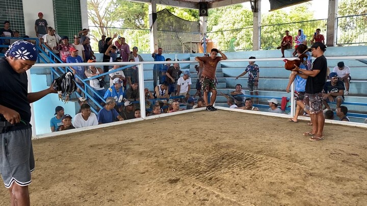 Thursday hack fight 2nd fight BrassBack 7YO Win, dinaan sa gulang😁