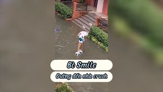Meme tổng hợp. Cười bò cùng Bò Cười
