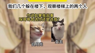 《大可穿书》全集