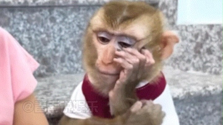 Working really can change your social class.