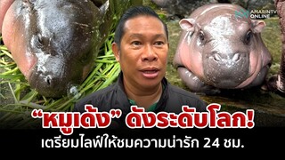 "หมูเด้ง" ดังระดับโลก! เตรียมไลฟ์ให้ติดตามความน่ารัก 24 ชม. | อมรินทร์อัปเดต