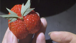 Mẹ tôi lại còn yên tâm để tôi ở cùng với dâu tây nữa chứ!