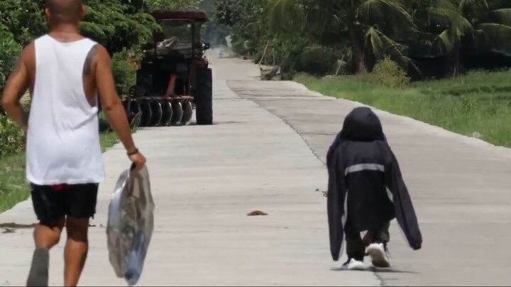 Susto na Rua