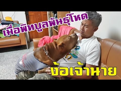 ลาเต้ง้อพ่อ