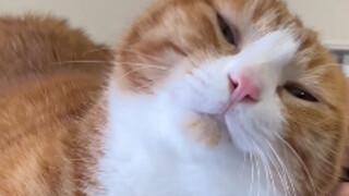 طالما أنها تصوير لمؤخرة، فأي وضعية تصلح تمامًا!