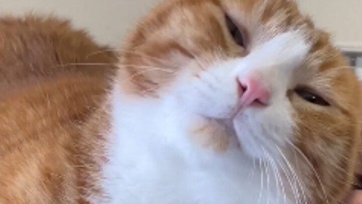 只要是拍屁屁的话什么姿势都可以哟～